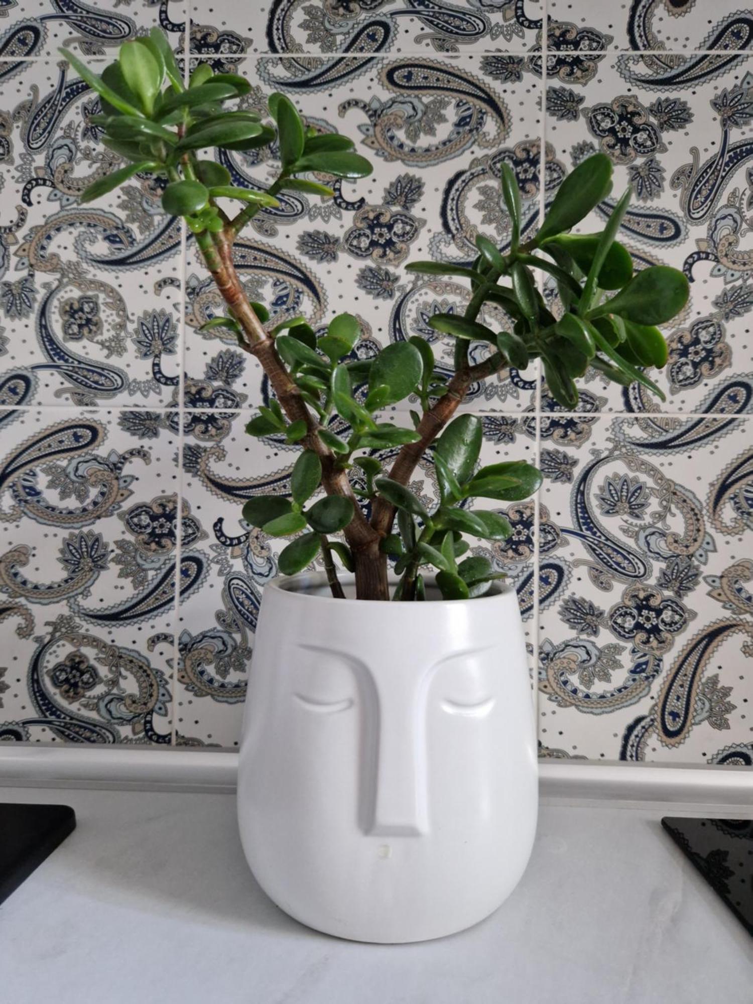 Juwel Apartments Krakow Indyjski Ap 29 外观 照片